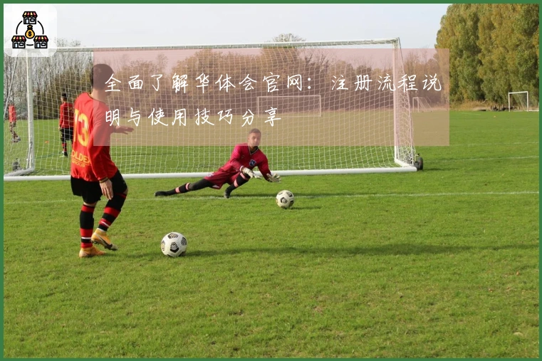 全面了解华体会官网：注册流程说明与使用技巧分享