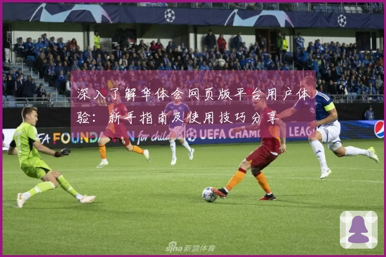 深入了解华体会网页版平台用户体验：新手指南及使用技巧分享